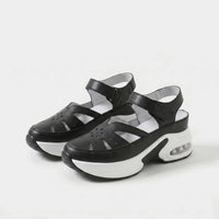 Nero Stile 3